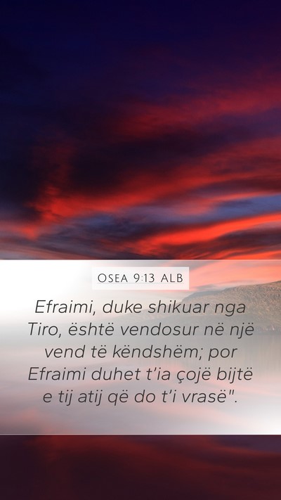 Osea 9:13 ALB Bible Verse Image