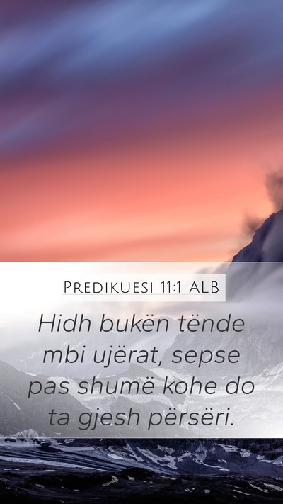 Predikuesi 11:1 ALB Bible Verse Image
