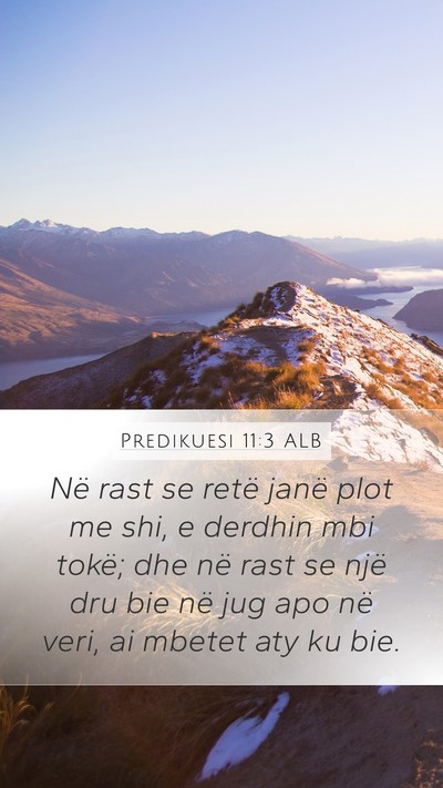 Predikuesi 11:3 ALB Bible Verse Image