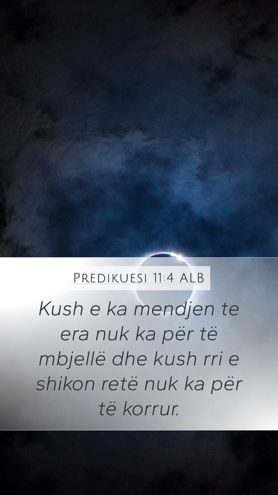 Predikuesi 11:4 ALB Bible Verse Image
