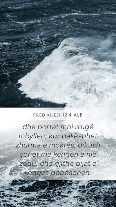 Predikuesi 12:4 ALB Mobile Phone Wallpaper - dhe portat mbi rrugë mbyllen; kur pakësohet - Mobile Bible Verse Wallpaper