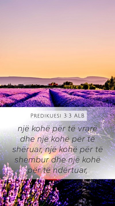 Predikuesi 3:3 ALB Mobile Phone Wallpaper - një kohë për të vrarë dhe një kohë për - Mobile Bible Verse Wallpaper
