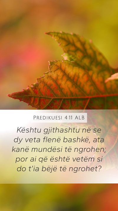 Predikuesi 4:11 ALB Mobile Phone Wallpaper - Kështu gjithashtu në se dy veta flenë bashkë, - Mobile Bible Verse Wallpaper