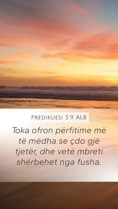 Predikuesi 5:9 ALB Bible Verse Image
