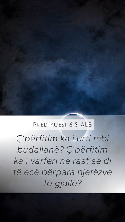 Predikuesi 6:8 ALB Bible Verse Image