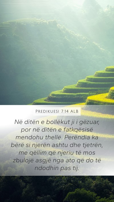 Predikuesi 7:14 ALB Bible Verse Image