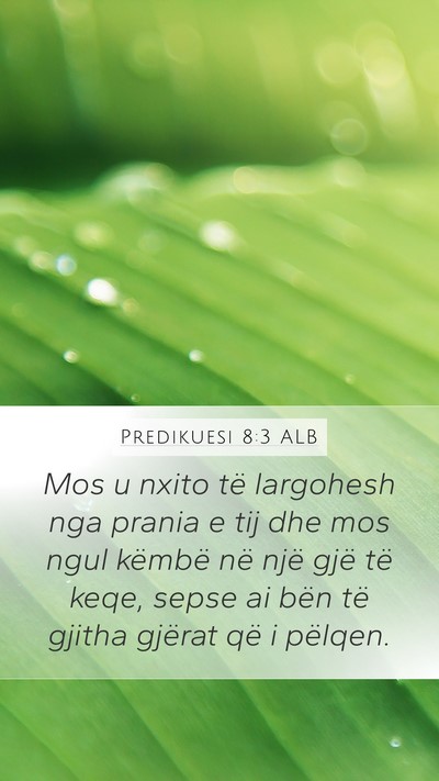 Predikuesi 8:3 ALB Bible Verse Image