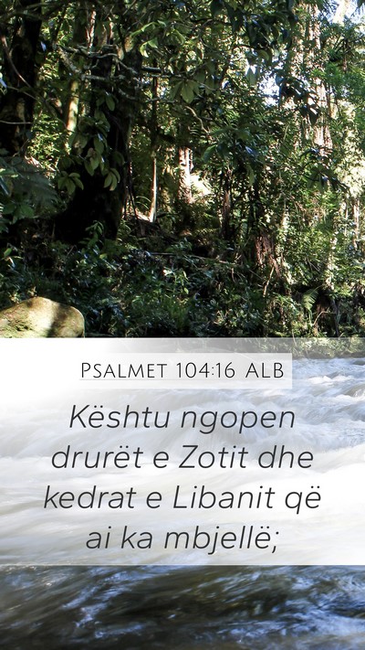 Psalmet 104:16 ALB Bible Verse Image