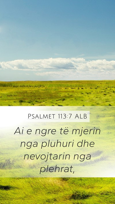 Psalmet 113:7 ALB Mobile Phone Wallpaper - Ai e ngre të mjerin nga pluhuri dhe nevojtarin - Mobile Bible Verse Wallpaper
