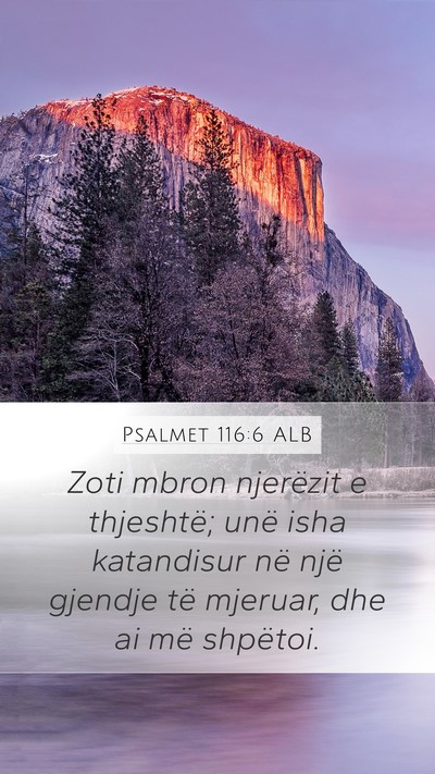 Psalmet 116:6 ALB Bible Verse Image