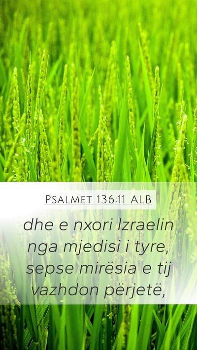 Psalmet 136:11 ALB Bible Verse Image