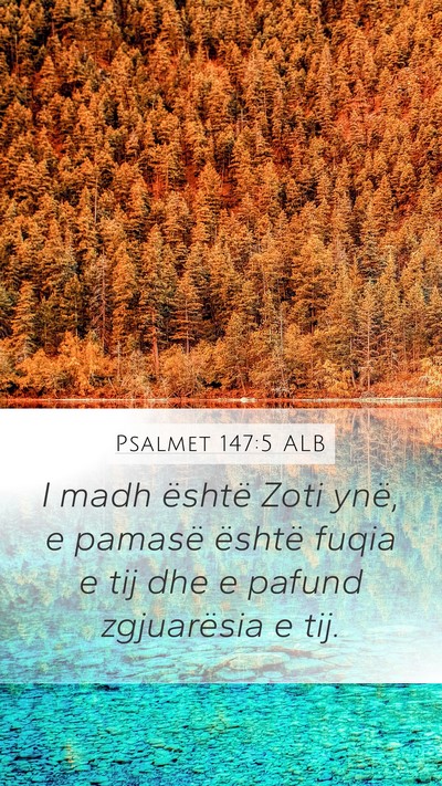 Psalmet 147:5 ALB Bible Verse Image