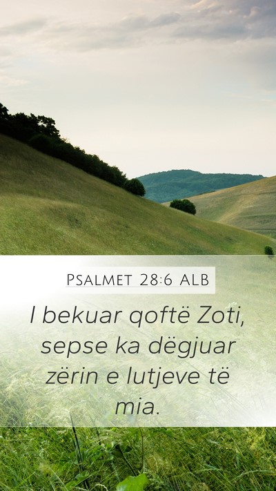 Psalmet 28:6 ALB Bible Verse Image