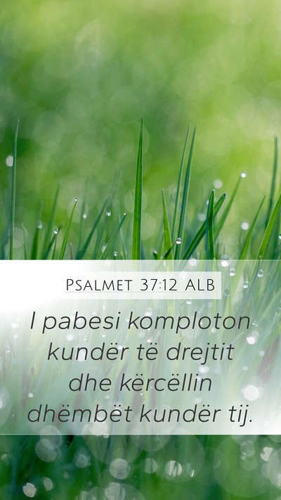 Psalmet 37:12 ALB Bible Verse Image