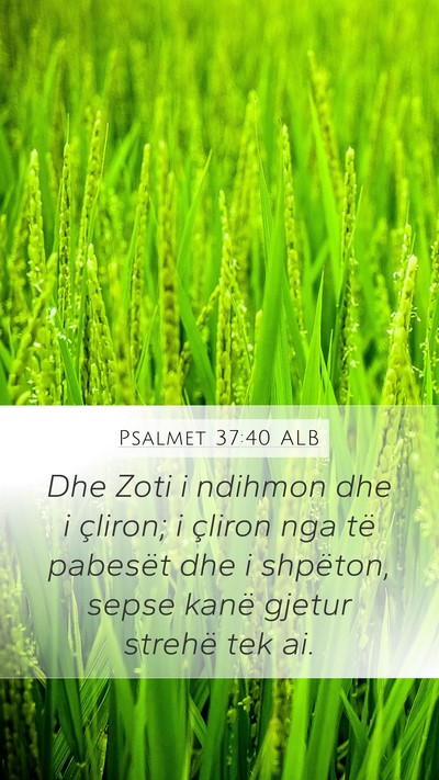 Psalmet 37:40 ALB Bible Verse Image