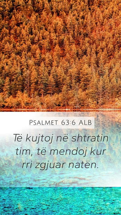 Psalmet 63:6 ALB Bible Verse Image