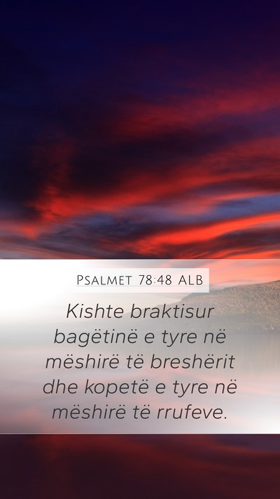 Psalmet 78:48 ALB Mobile Phone Wallpaper - Kishte braktisur bagëtinë e tyre në mëshirë - Mobile Bible Verse Wallpaper