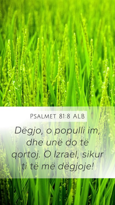 Psalmet 81:8 ALB Mobile Phone Wallpaper - Dëgjo, o populli im, dhe unë do të qortoj. O - Mobile Bible Verse Wallpaper