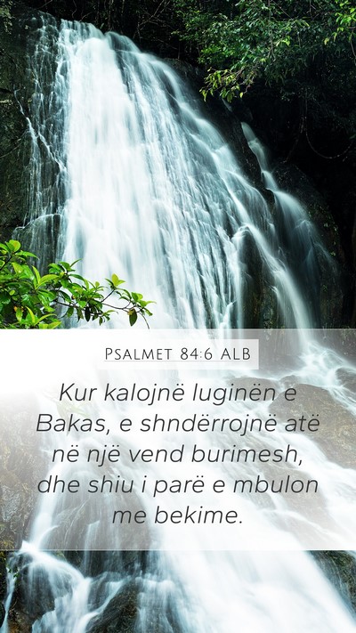 Psalmet 84:6 ALB Bible Verse Image