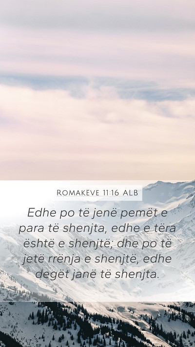 Romakëve 11:16 ALB Bible Verse Image