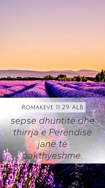 Romakëve 11:29 ALB Bible Verse Image