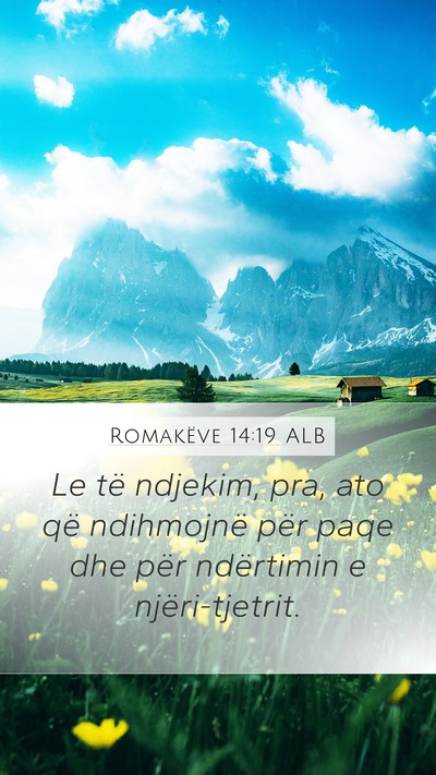 Romakëve 14:19 ALB Bible Verse Image