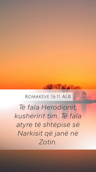Romakëve 16:11 ALB Bible Verse Image