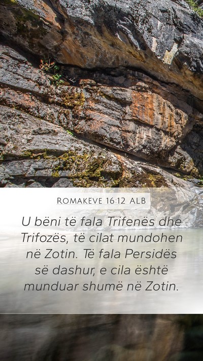 Romakëve 16:12 ALB Bible Verse Image