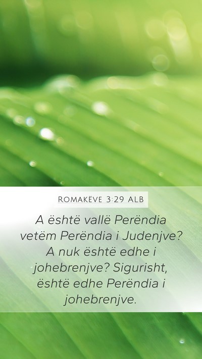 Romakëve 3:29 ALB Bible Verse Image