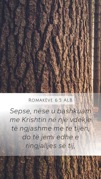 Romakëve 6:5 ALB Bible Verse Image