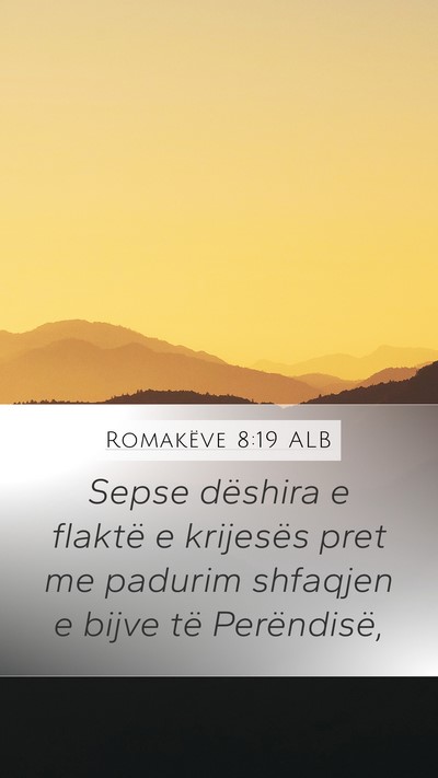 Romakëve 8:19 ALB Bible Verse Image