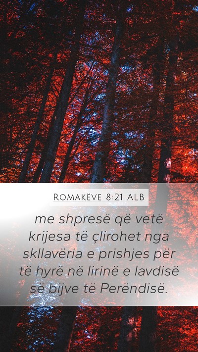 Romakëve 8:21 ALB Bible Verse Image