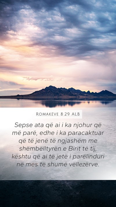 Romakëve 8:29 ALB Bible Verse Image