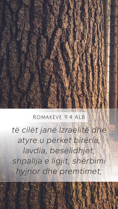 Romakëve 9:4 ALB Bible Verse Image