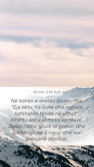 Ruthi 2:14 ALB Bible Verse Image