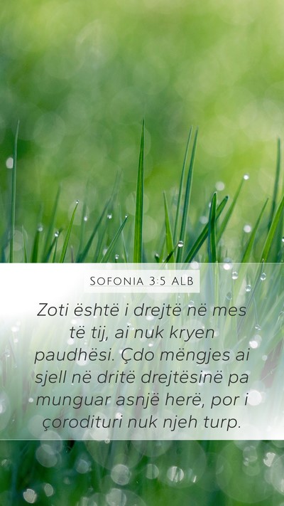 Sofonia 3:5 ALB Bible Verse Image