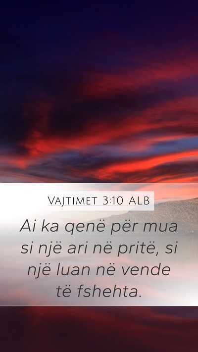 Vajtimet 3:10 ALB Bible Verse Image