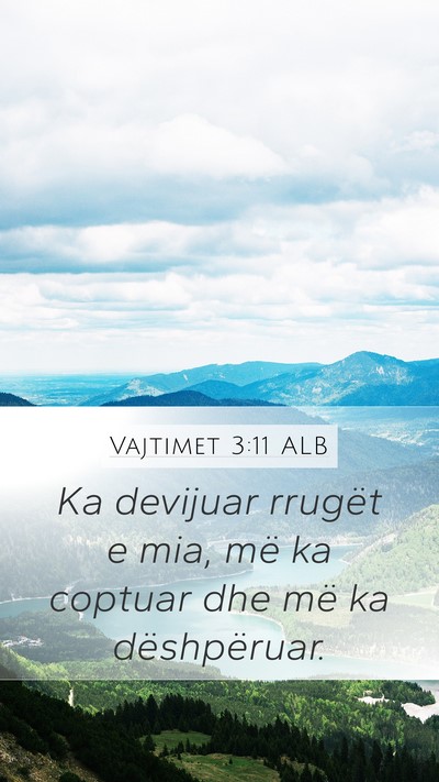 Vajtimet 3:11 ALB Bible Verse Image