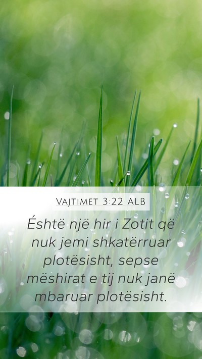 Vajtimet 3:22 ALB Bible Verse Image