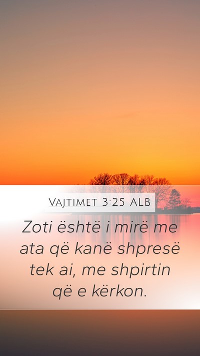 Vajtimet 3:25 ALB Bible Verse Image
