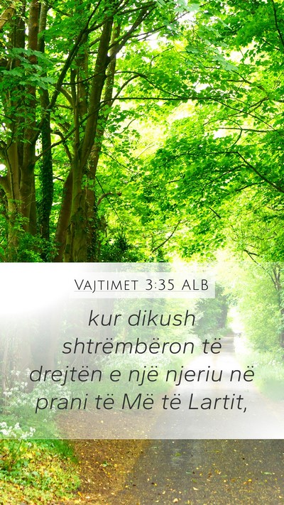 Vajtimet 3:35 ALB Bible Verse Image