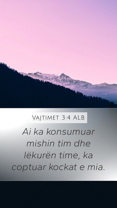 Vajtimet 3:4 ALB Bible Verse Image