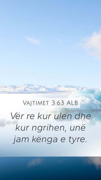 Vajtimet 3:63 ALB Bible Verse Image