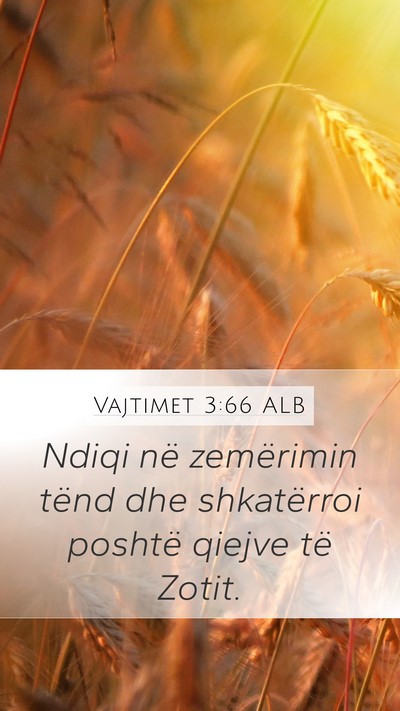 Vajtimet 3:66 ALB Bible Verse Image