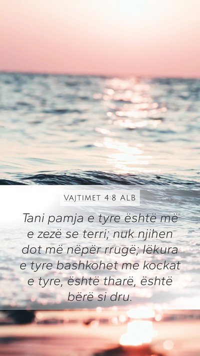 Vajtimet 4:8 ALB Bible Verse Image
