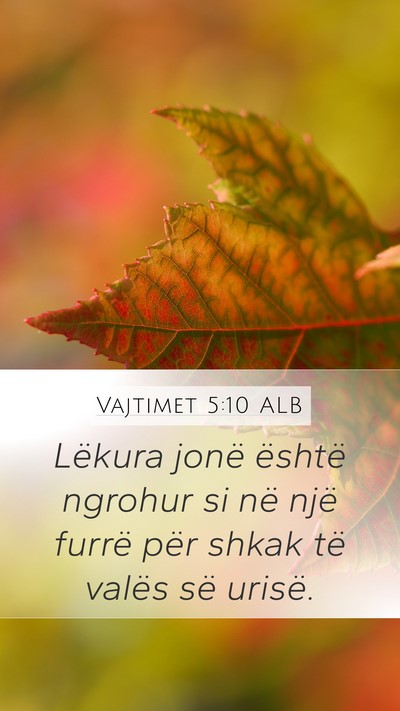 Vajtimet 5:10 ALB Bible Verse Image