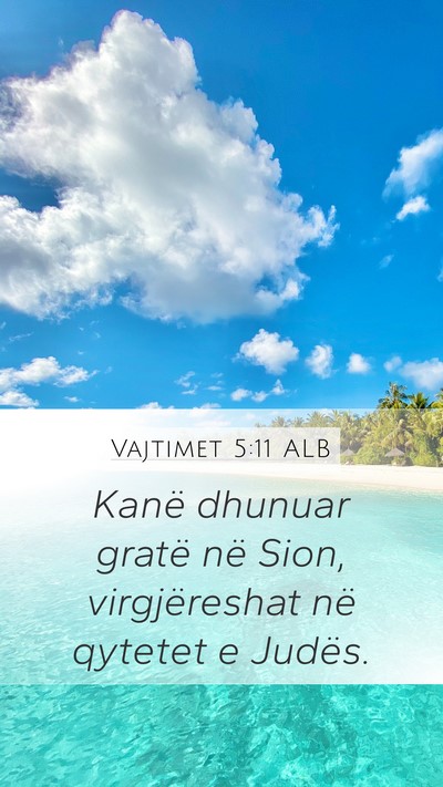 Vajtimet 5:11 ALB Bible Verse Image