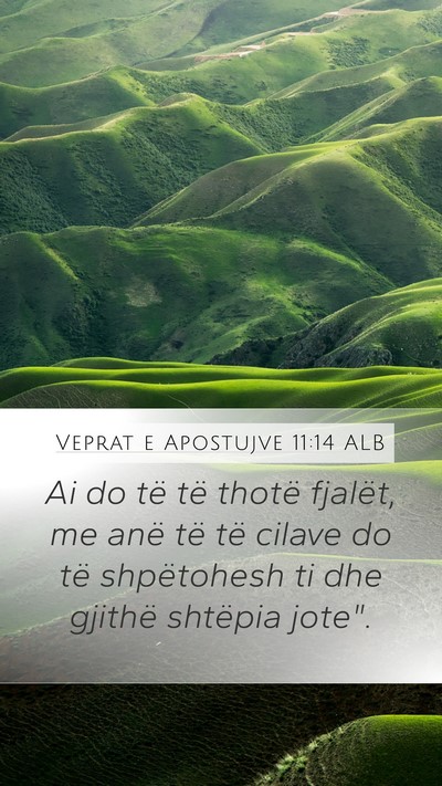 Veprat e Apostujve 11:14 ALB Bible Verse Image