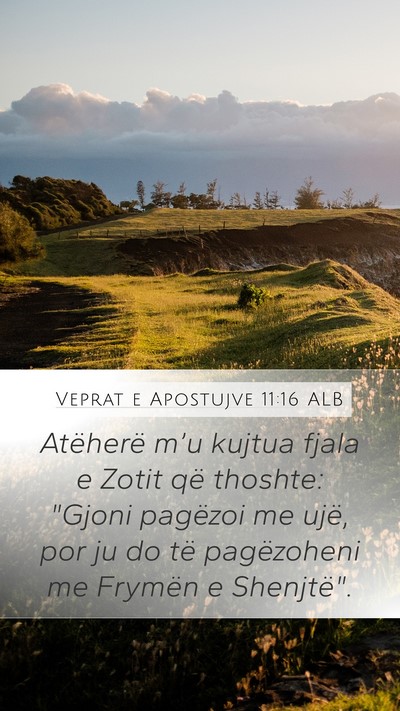 Veprat e Apostujve 11:16 ALB Bible Verse Image