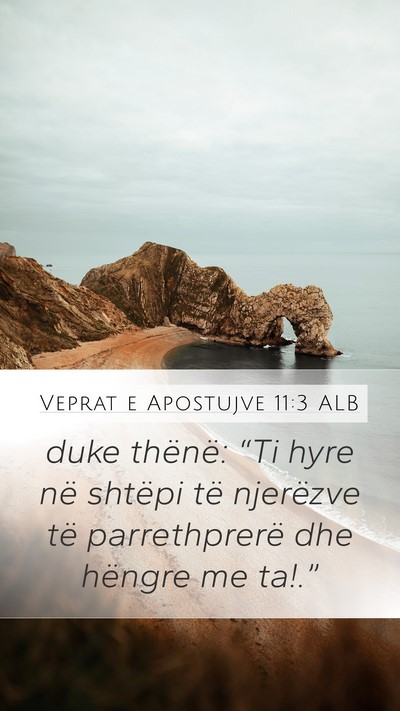 Veprat e Apostujve 11:3 ALB Bible Verse Image